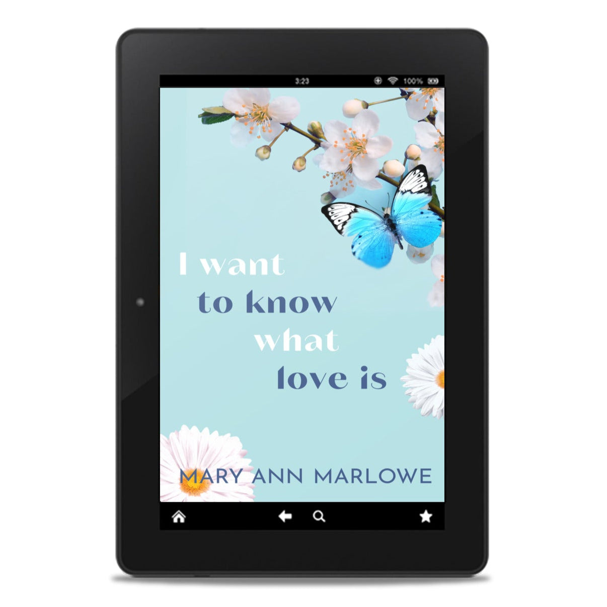 I Want To Know What Love Is (discreet cover)