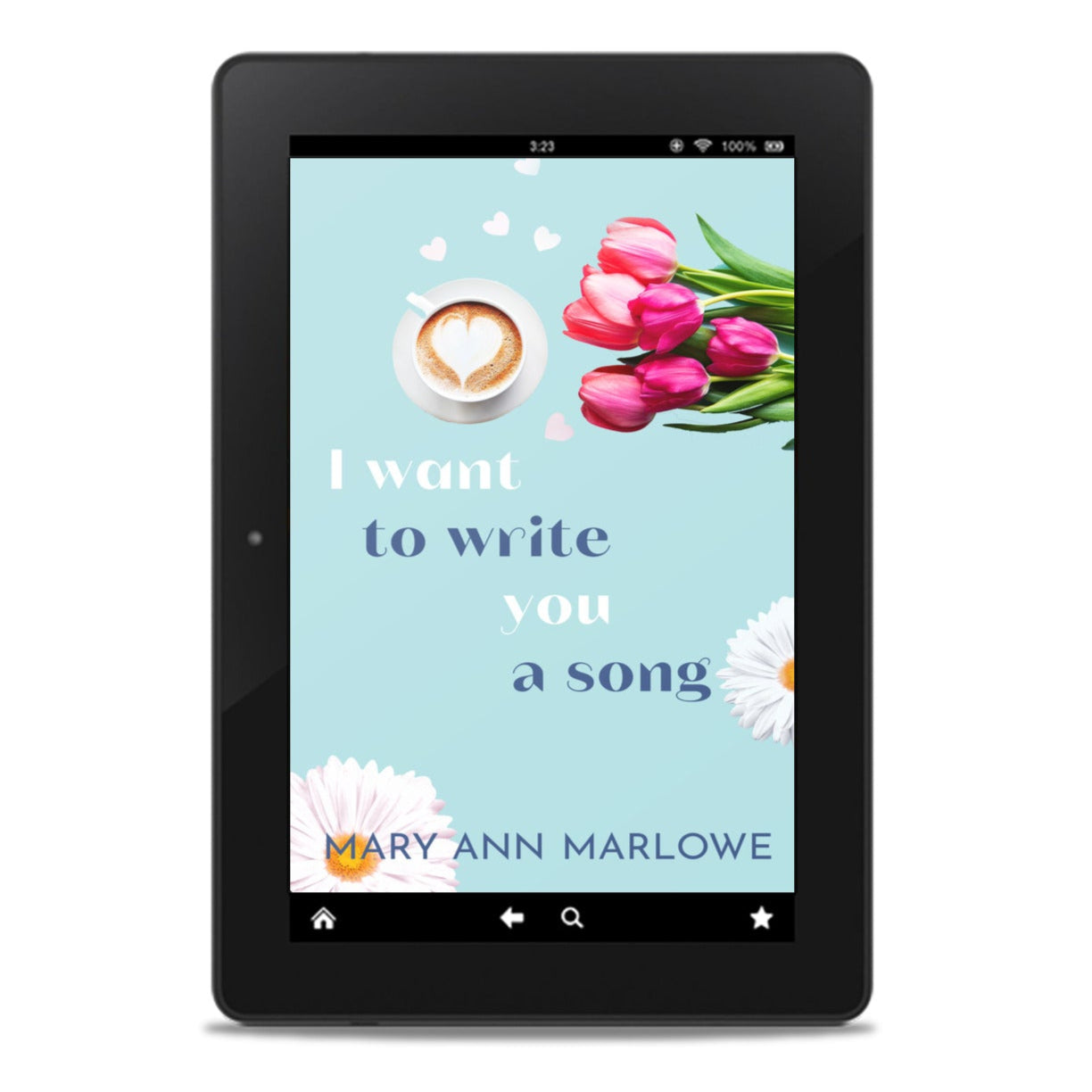 I Want To Write You a Song E-Book (discreet cover)