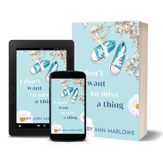 I Don't Want To Miss a Thing (discreet cover)